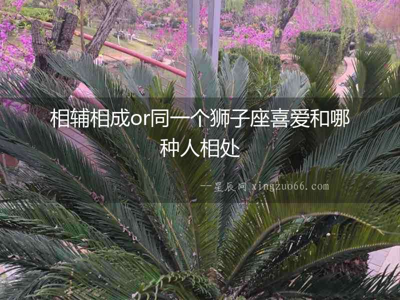相輔相成or同一個獅子座喜愛和哪種人相處