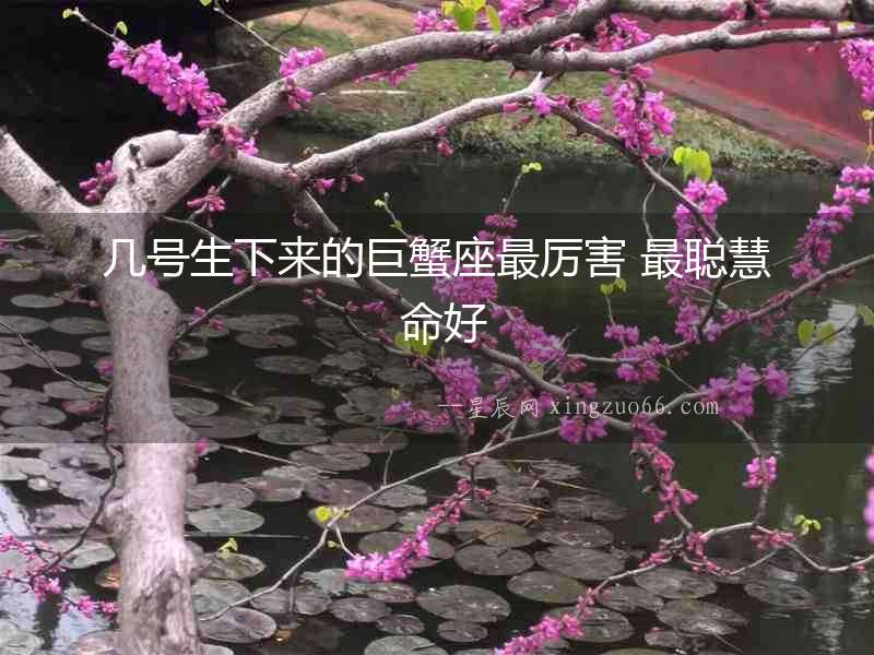 幾號(hào)生下來(lái)的巨蟹座最厲害 最聰慧 命好