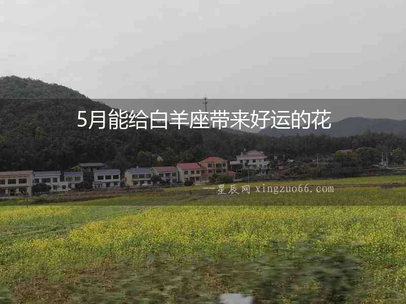 5月能給白羊座帶來好運的花
