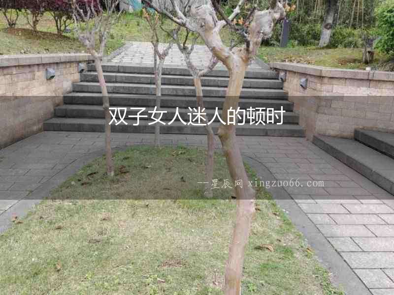 雙子女人迷人的頓時(shí)
