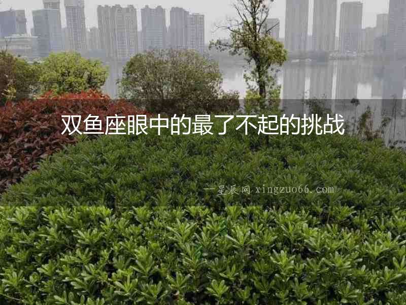 雙魚座眼中的最了不起的挑戰