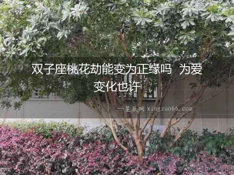 雙子座桃花劫能變?yōu)檎墕? 為愛變化也許