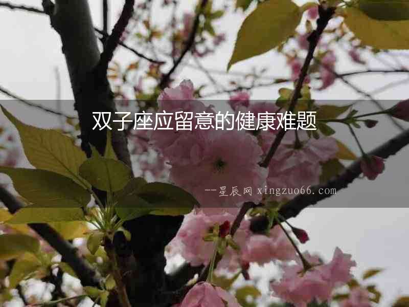 雙子座應(yīng)留意的健康難題