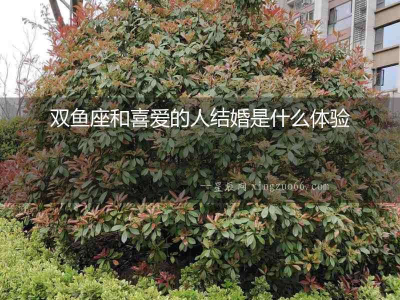 雙魚座和喜愛的人結婚是什么體驗