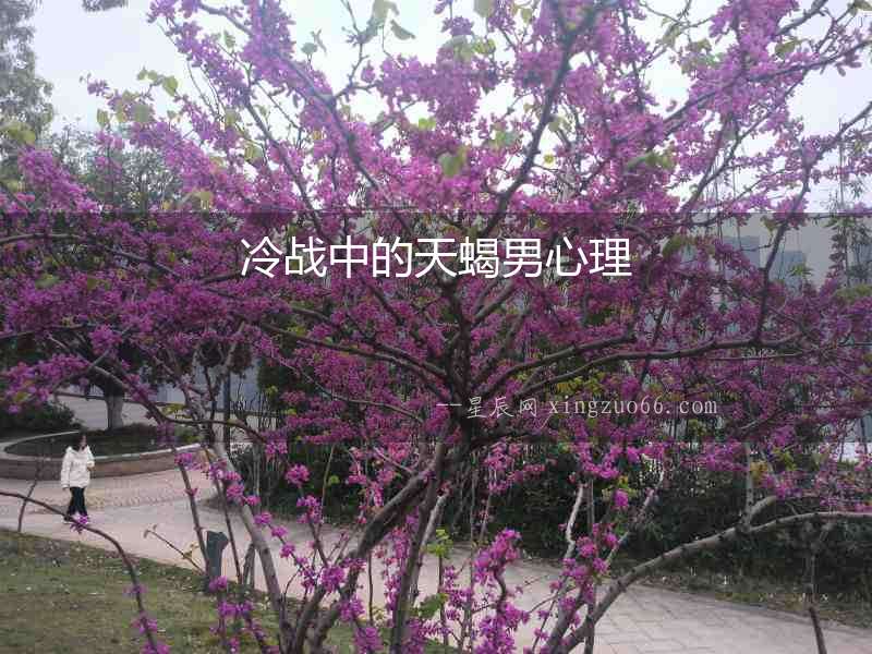 冷戰中的天蝎男心理