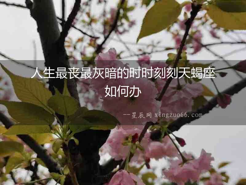人生最喪最灰暗的時時刻刻天蝎座如何辦