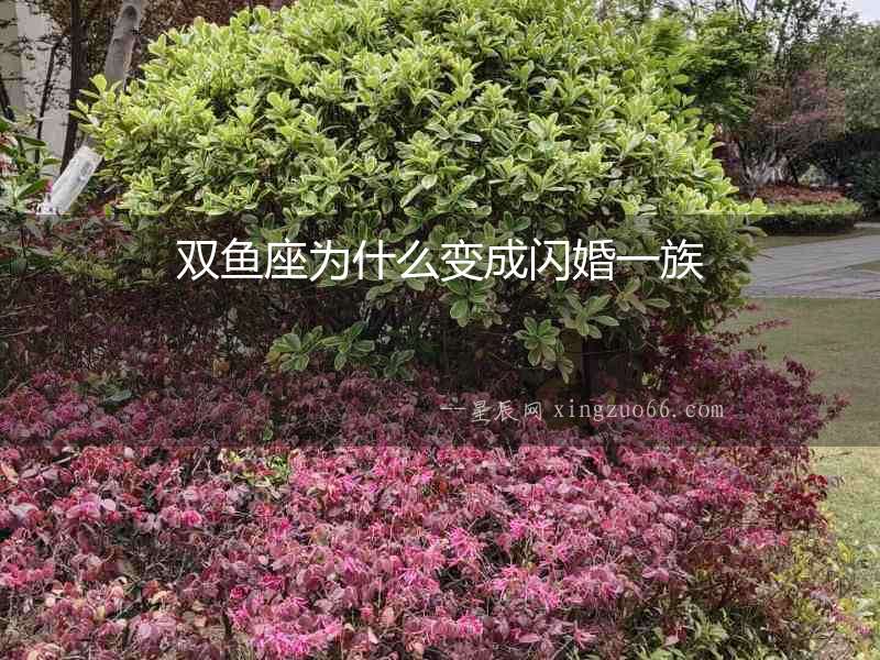 雙魚座為什么變成閃婚一族