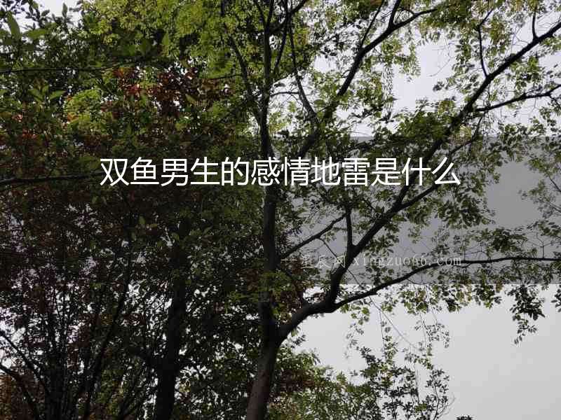 雙魚男生的感情地雷是什么