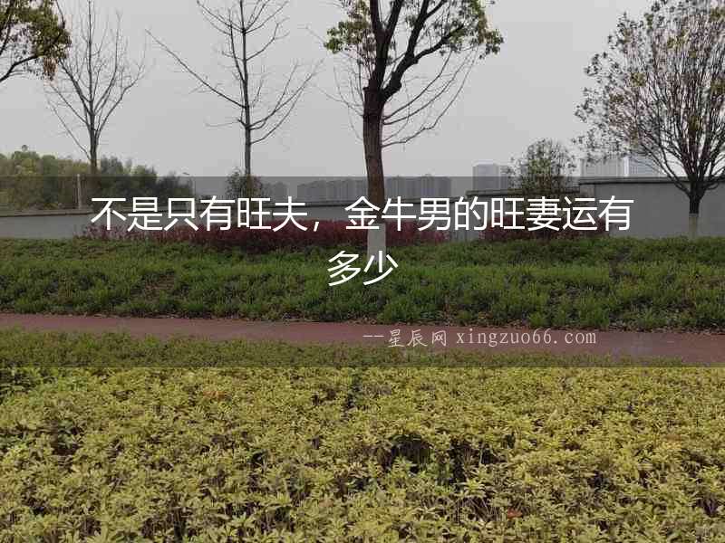 不是只有旺夫，金牛男的旺妻運有多少