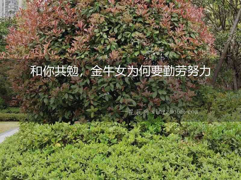 和你共勉，金牛女為何要勤勞努力
