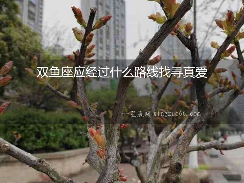 雙魚座應經過什么路線找尋真愛