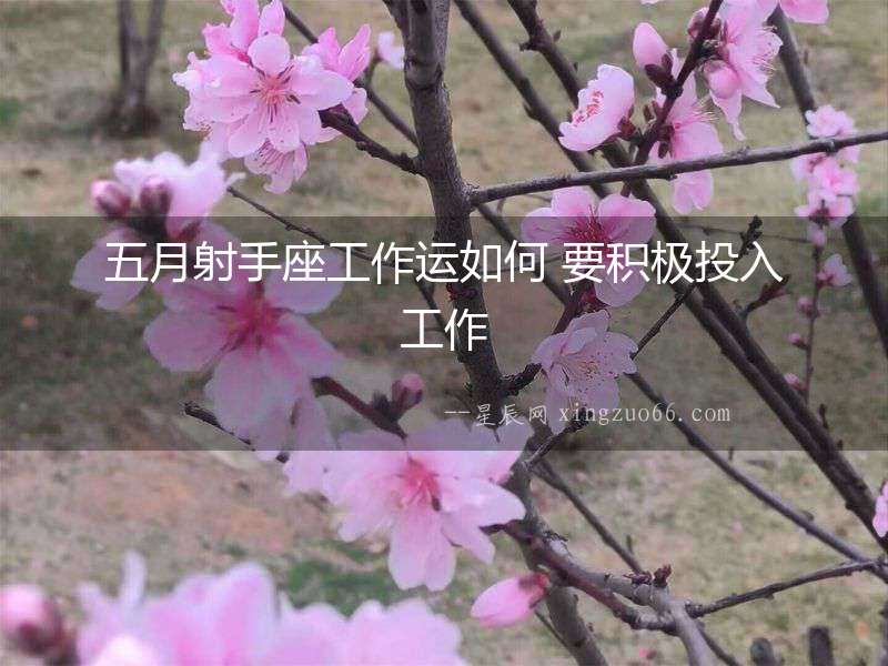 五月射手座工作運如何 要積極投入工作
