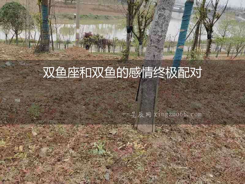 雙魚座和雙魚的感情終極配對