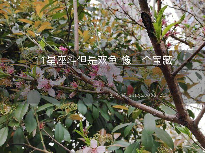 11星座斗但是雙魚 像一個寶藏
