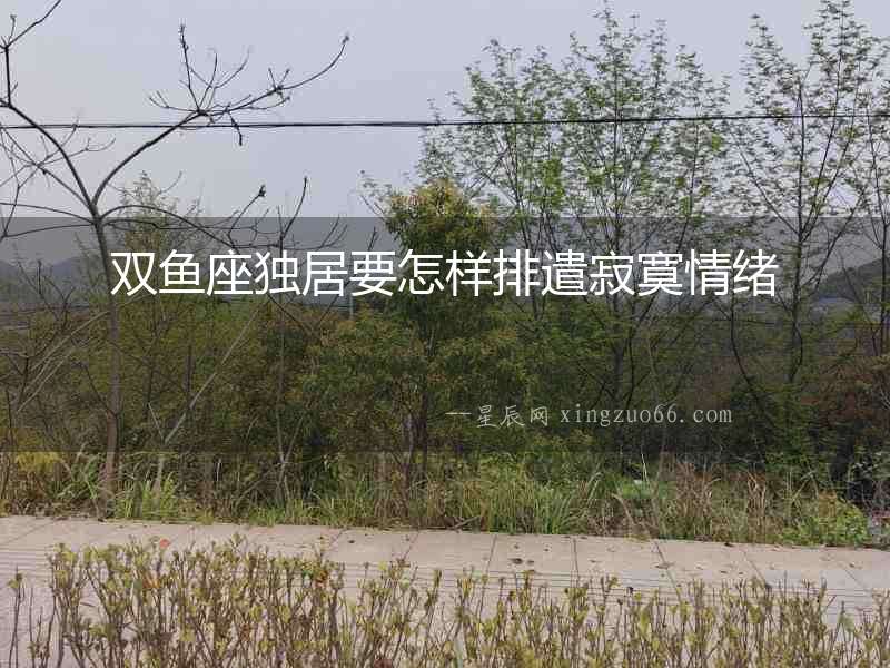 雙魚座獨居要怎樣排遣寂寞情緒