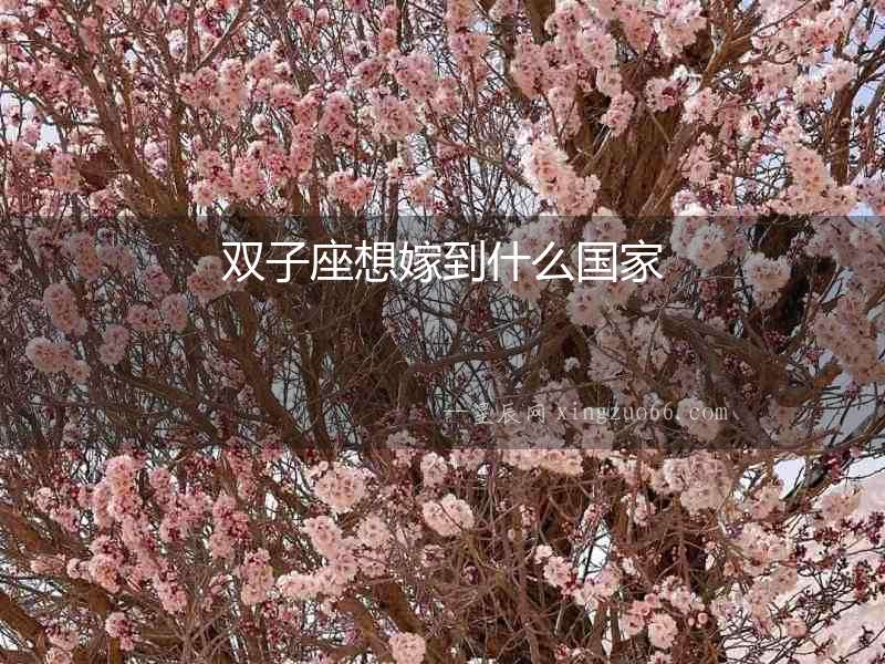 雙子座想嫁到什么國家