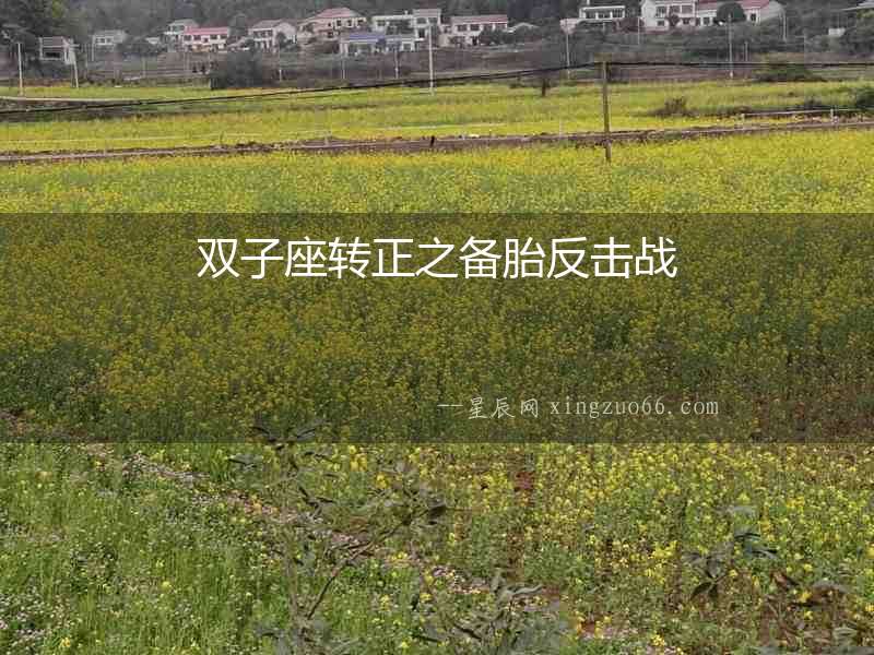 雙子座轉正之備胎反擊戰