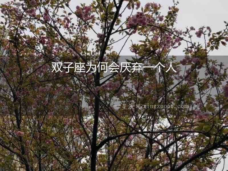 雙子座為何會厭棄一個人