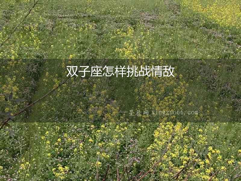 雙子座怎樣挑戰(zhàn)情敵