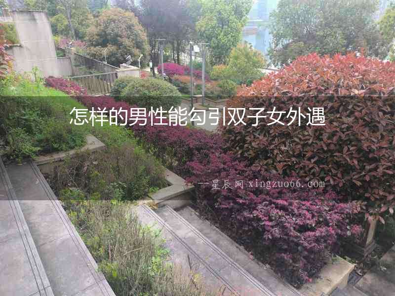 怎樣的男性能勾引雙子女外遇