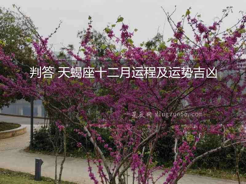 判答 天蝎座十二月運(yùn)程及運(yùn)勢(shì)吉兇
