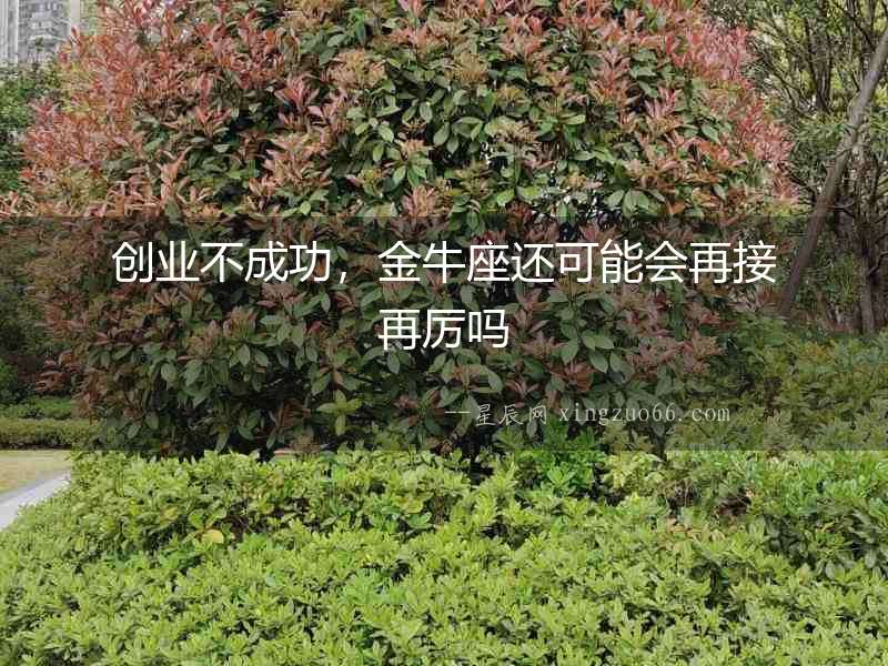 創(chuàng)業(yè)不成功，金牛座還可能會再接再厲嗎