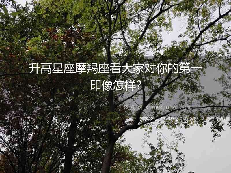 升高星座摩羯座看大家對你的第一印像怎樣？