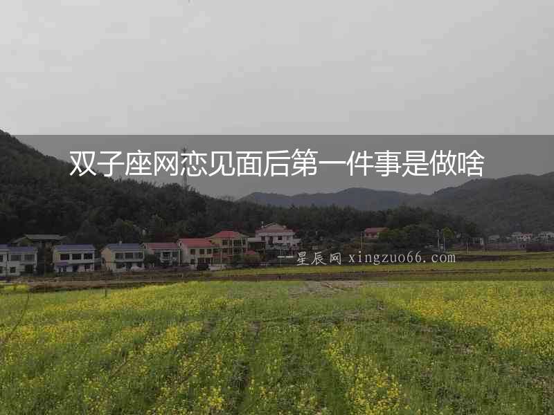雙子座網(wǎng)戀見(jiàn)面后第一件事是做啥