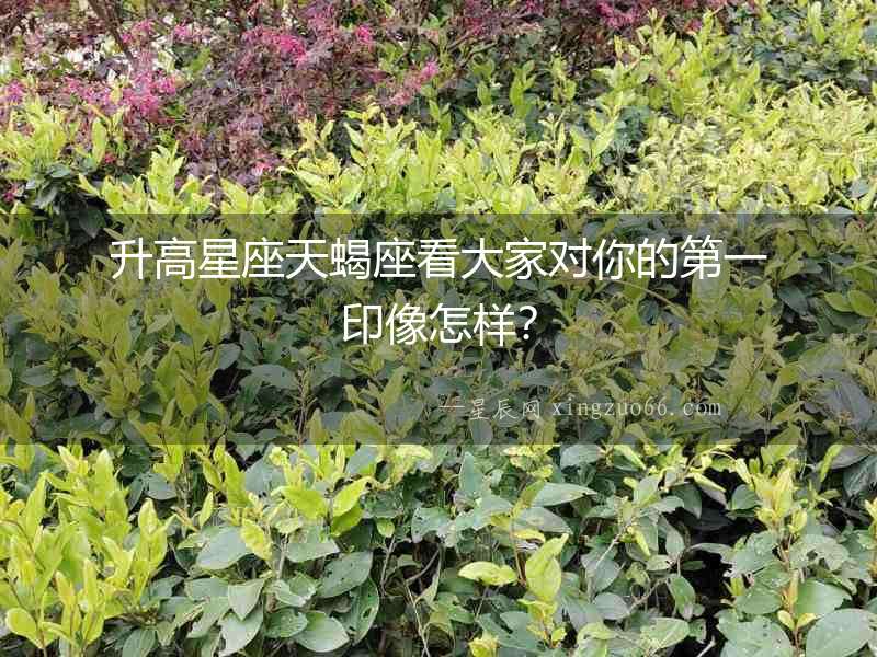 升高星座天蝎座看大家對(duì)你的第一印像怎樣？