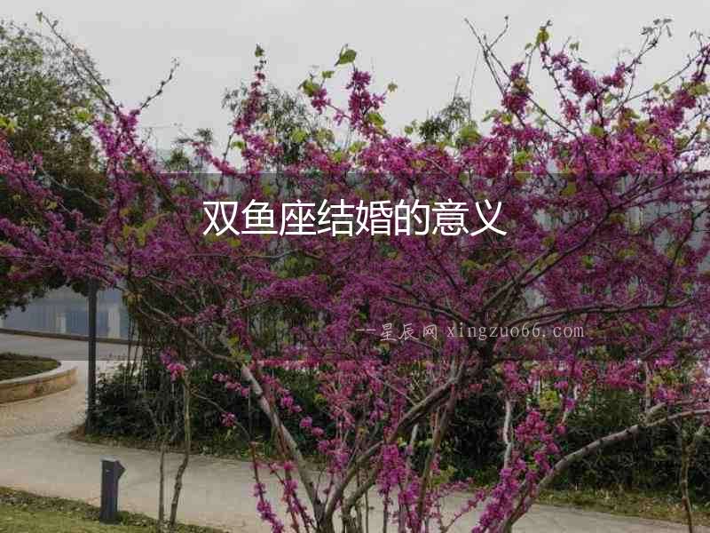 雙魚座結(jié)婚的意義