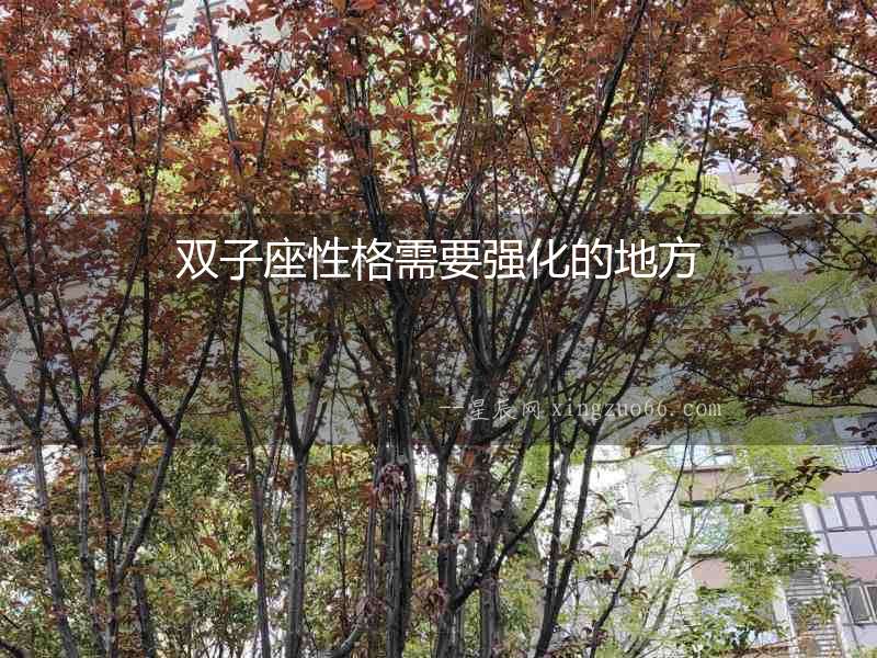 雙子座性格需要強化的地方