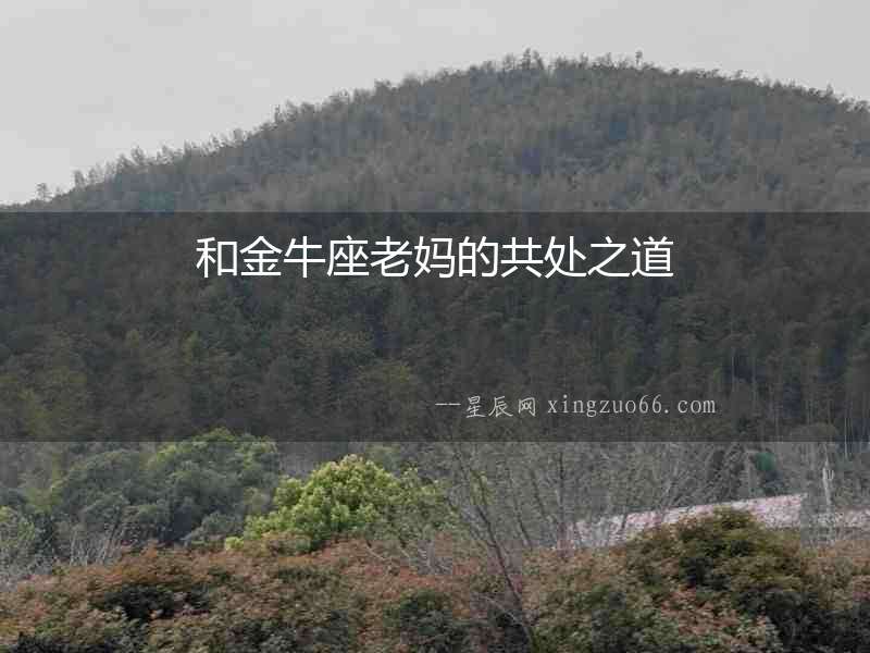 和金牛座老媽的共處之道