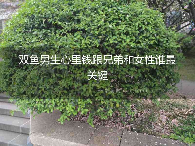 雙魚男生心里錢跟兄弟和女性誰最關鍵