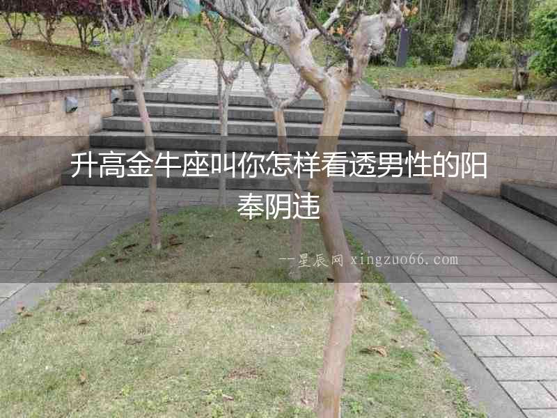 升高金牛座叫你怎樣看透男性的陽奉陰違