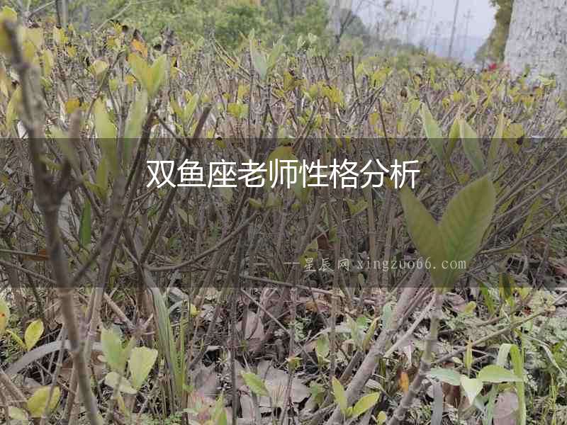 雙魚座老師性格分析