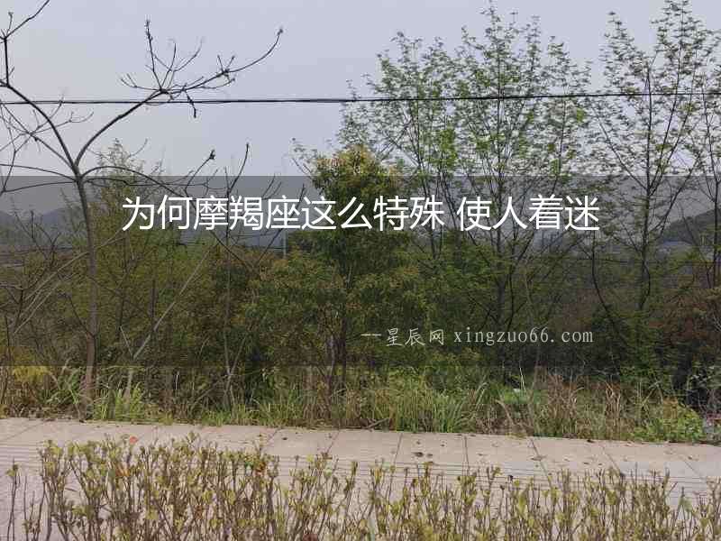 為何摩羯座這么特殊 使人著迷