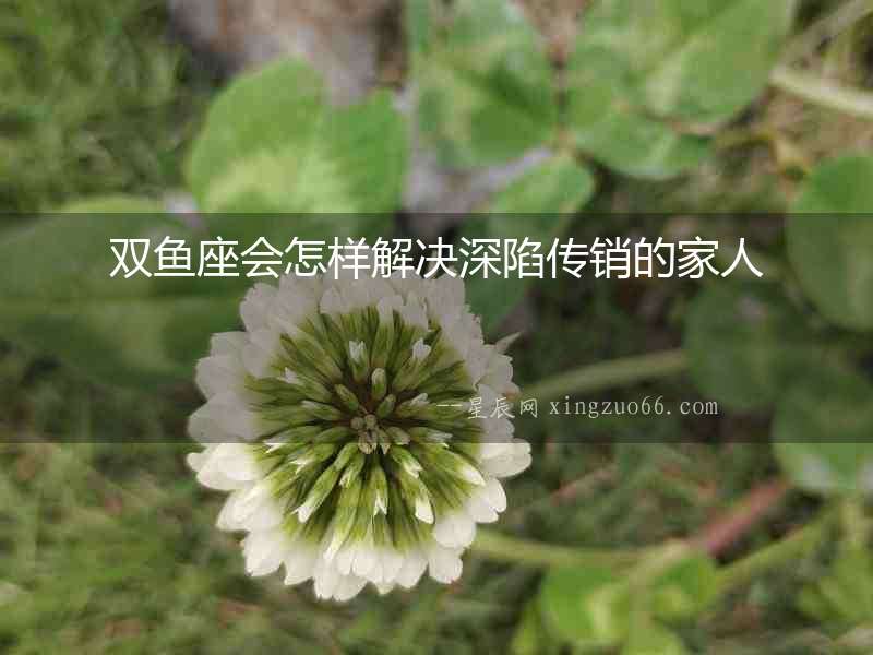 雙魚座會怎樣解決深陷傳銷的家人
