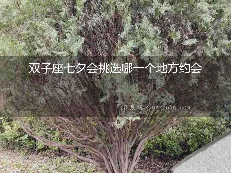 雙子座七夕會挑選哪一個地方約會