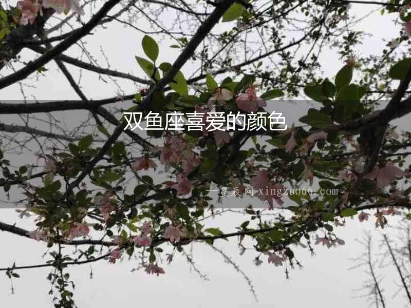 雙魚座喜愛的顏色