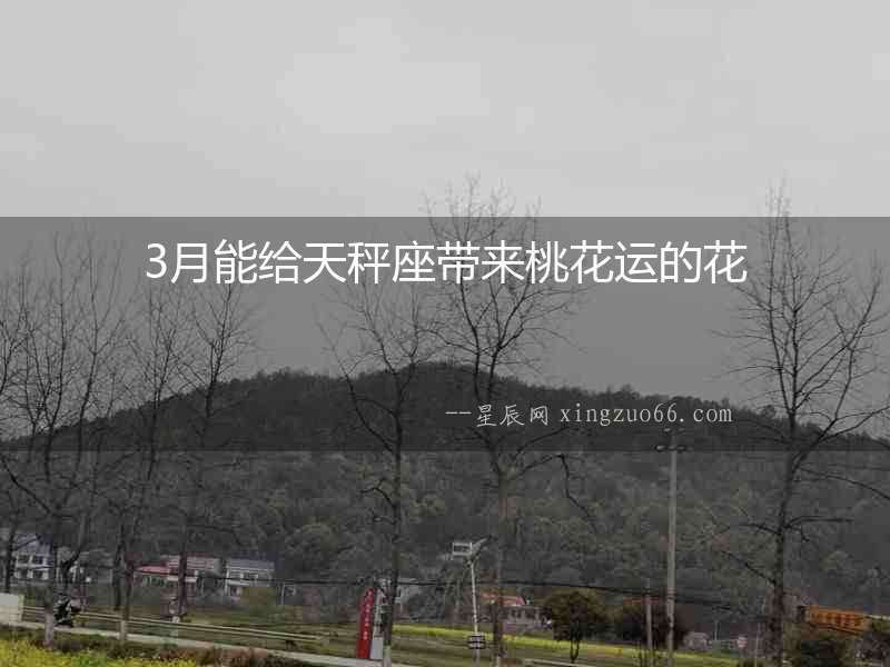 3月能給天秤座帶來桃花運的花