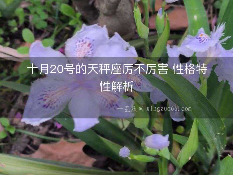十月20號的天秤座厲不厲害 性格特性解析