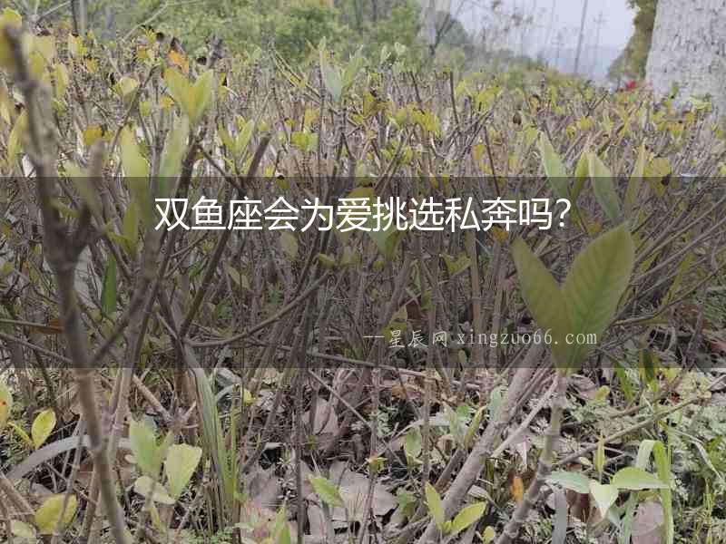 雙魚座會為愛挑選私奔嗎？