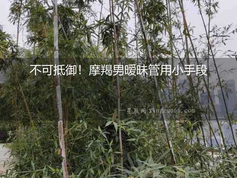 不可抵御！摩羯男曖昧管用小手段