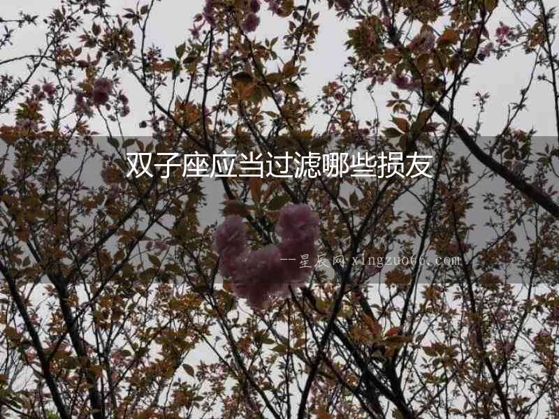 雙子座應當過濾哪些損友