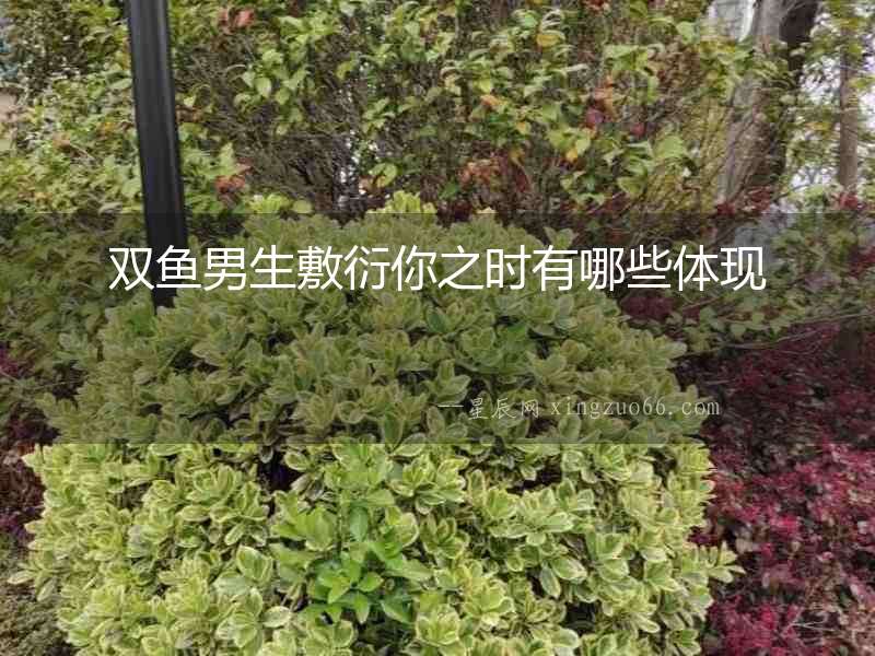雙魚男生敷衍你之時有哪些體現