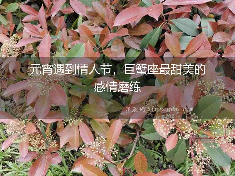 元宵遇到情人節(jié)，巨蟹座最甜美的感情磨練