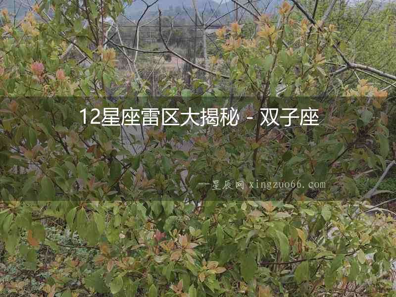 12星座雷區(qū)大揭秘 - 雙子座