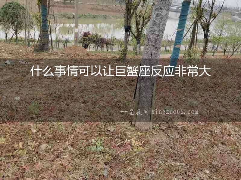 什么事情可以讓巨蟹座反應(yīng)非常大