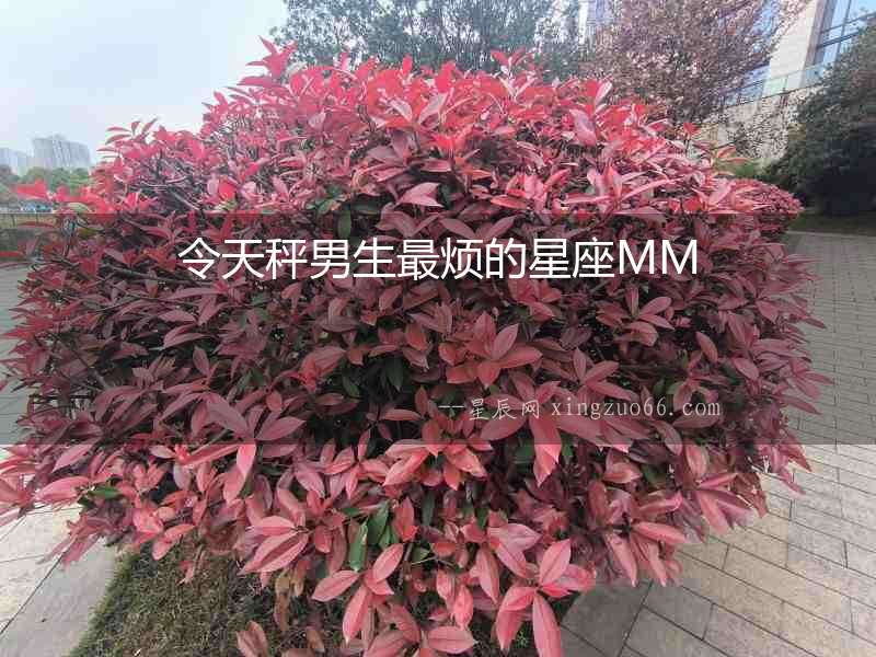 令天秤男生最煩的星座MM