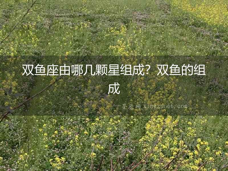 雙魚座由哪幾顆星組成？雙魚的組成